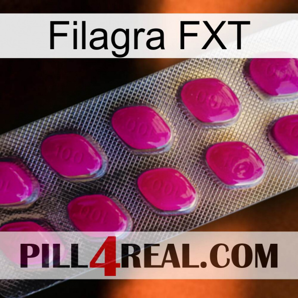 Filagra FXT 09.jpg